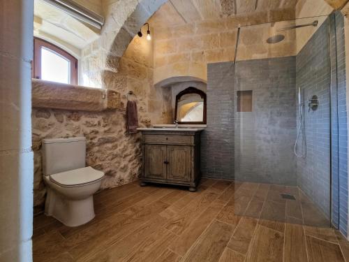 a bathroom with a toilet and a sink and a shower at Luxury Farmhouse Villa surrounded with Nature & Farm Animals Alpacas etc in Għasri