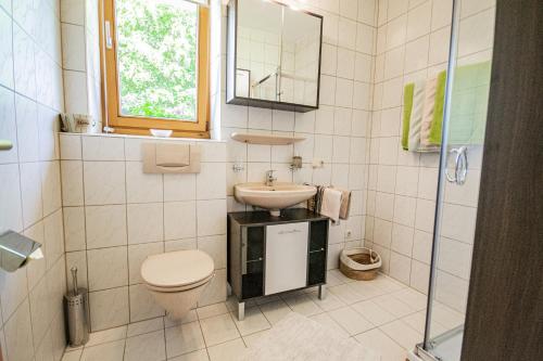 ein Bad mit einem WC und einem Waschbecken in der Unterkunft Gästehaus Wechselberger in Steinach am Brenner