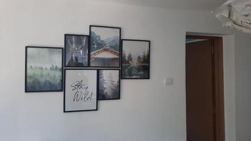 a group of framed pictures on a wall at "Whispering pines" vacation home, close to Sofia in Gola Glava