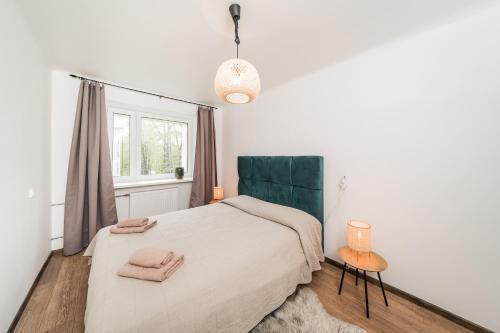 een slaapkamer met een groot bed en een raam bij Bright Apartment near the Mall in Kaunas