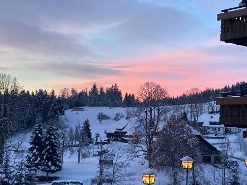 a winter scene with snow and trees and lights at Boutique Hotel and Apartments Pension Sternen in Todtmoos