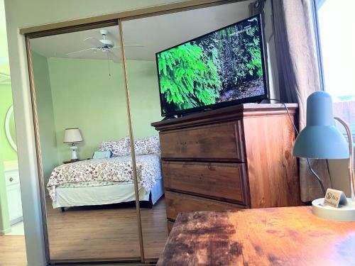 a bedroom with a bed and a large screen television at Meadow Harvest Suite with TV and private bathroom in Hemet