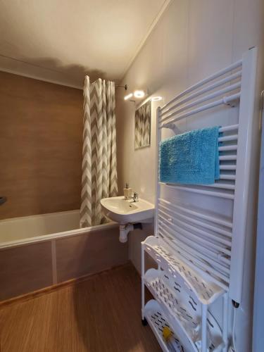 a bathroom with a sink and a bath tub at Chata Mezičky in Jiřetín pod Jedlovou