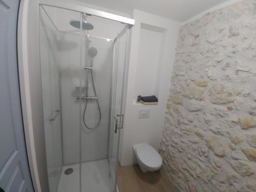 uma casa de banho com um chuveiro e um WC. em La Bienheureuse Maison, vue sur le Château de Villandry em Villandry
