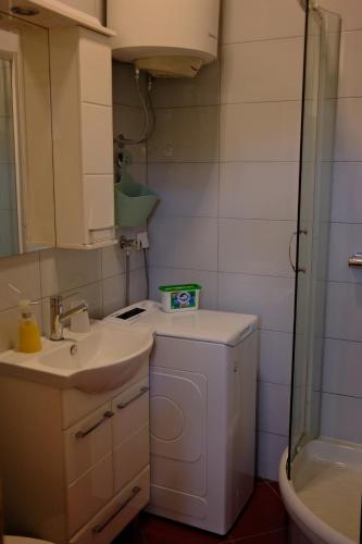 a small bathroom with a sink and a shower at Apartment Centrum in Novi Sad