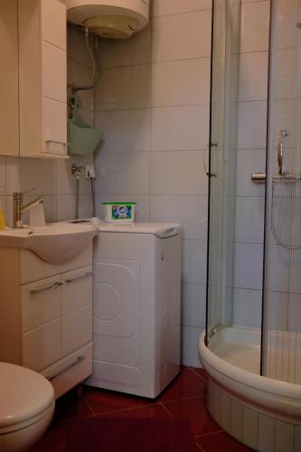 a bathroom with a toilet and a sink and a shower at Apartment Centrum in Novi Sad
