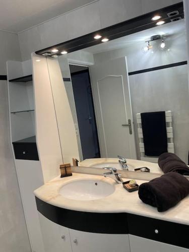 une salle de bain avec un lavabo et un grand miroir dans l'établissement Un cocon au cœur de la champagne avec parking, à Épernay