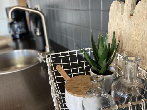 un comptoir de cuisine avec une plante en pot et des bouteilles de verre dans l'établissement Unique Holiday Home with Terrace Barbecue Garden Furniture, à Delfstrahuizen