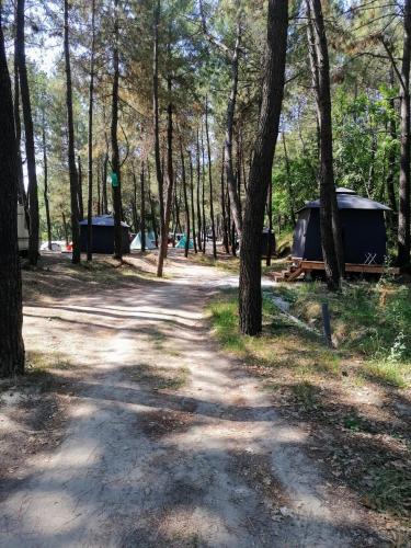 Φωτογραφία από το άλμπουμ του Ecoclub στη Βάρνα