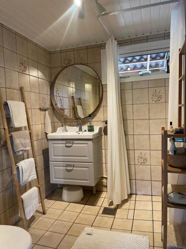 y baño con lavabo y espejo. en Cozy Nature House, en Svendborg