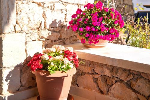 two vases filled with flowers sitting on a ledge at Kiki's Seaview Villa in Gerani