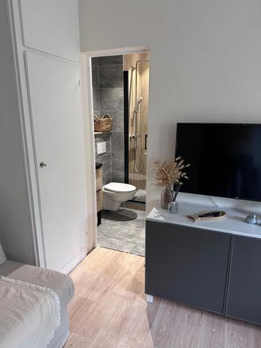 una camera da letto con TV e un bagno con servizi igienici di Le Ptit Moulleau ad Arcachon