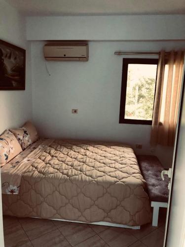 een slaapkamer met een bed en een raam bij Villa Ceni 3 in Elbasan