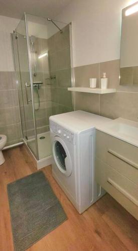 La salle de bains est pourvue d'un lave-linge et d'une douche. dans l'établissement Studio ensoleillé à la Grande Motte, à La Grande Motte