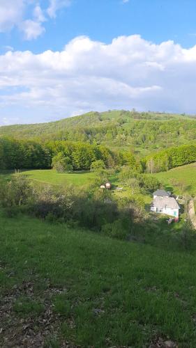 a field of green grass with a house in the distance at Poiana Stelelor in Văleni