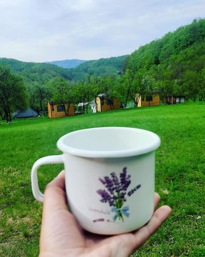 a hand holding a cup with a flower on it at Poiana Stelelor in Văleni