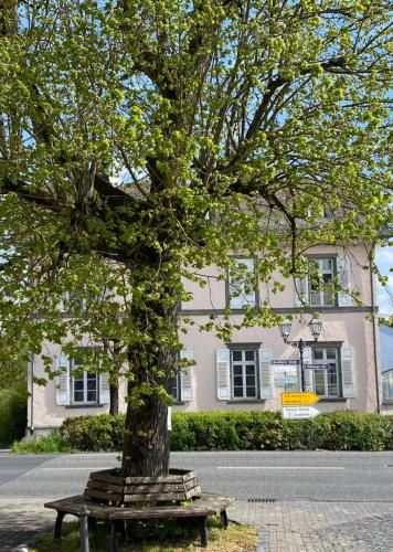 a tree with a bench in front of a building at Hotel St. Hubertus in Wallmerod