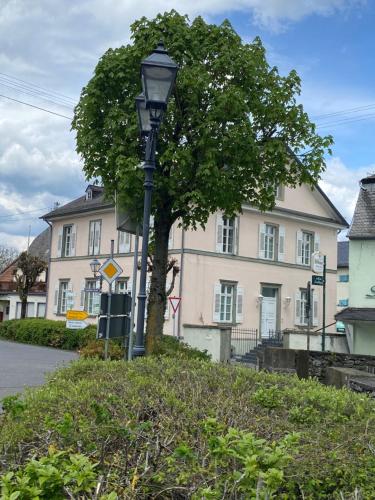 a street light next to a tree in front of a building at Hotel St. Hubertus in Wallmerod