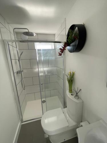 a bathroom with a toilet and a glass shower at Luxury One Bed Apartment Stevenage in Stevenage