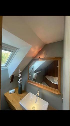 une salle de bain avec un lavabo et un miroir dans l'établissement La Grange du Colombier - Saint Geniez d'Olt et d'Aubrac, à Saint-Geniez-dʼOlt