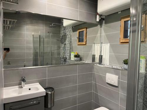 a bathroom with a sink and a mirror at Studio Luxe + jardin et terrasse in Pontoise