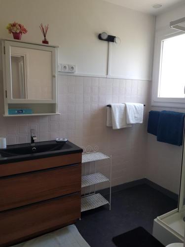 a bathroom with a sink and a mirror and towels at Chez Zabou in Amboise