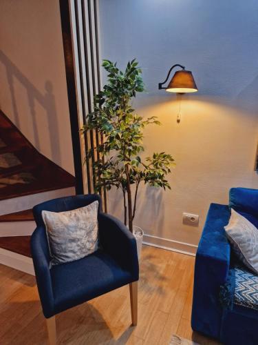 uma sala de estar com uma cadeira azul e uma planta em Apartment Roosevelt em Belgrado