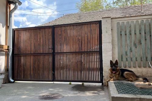 a dog laying in front of a gate at Sremski Karlovci Center Homestay in Sremski Karlovci