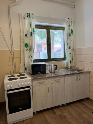 eine Küche mit einem Herd und einer Mikrowelle in der Unterkunft Sremski Karlovci Center Homestay in Sremski Karlovci