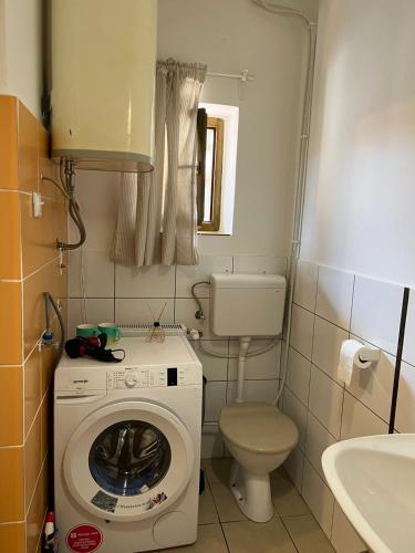 uma pequena casa de banho com uma máquina de lavar roupa e um WC em Sremski Karlovci Center Homestay em Sremski Karlovci
