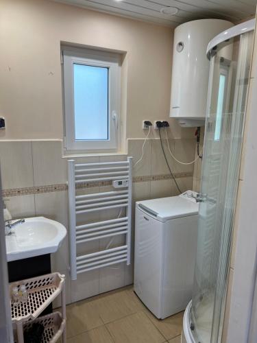 La petite salle de bains est pourvue d'un lavabo et d'une douche. dans l'établissement Smolniki Leśna Oaza, à Smolniki