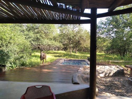 4609 Ratel – Photos 2