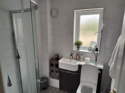 a bathroom with a toilet and a sink and a shower at Mallard Court contractor/holiday home in Stamford in Stamford