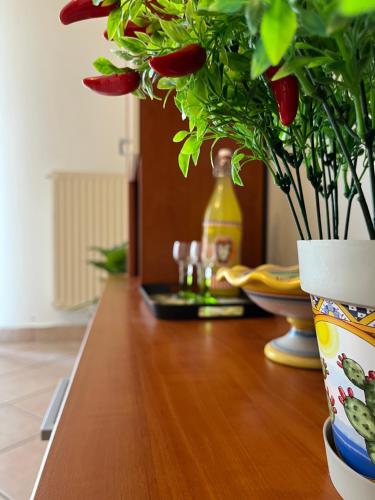 a table with a vase with a plant on it at DIP IN SICILY in Lentini