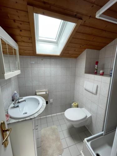 a bathroom with a sink and a toilet and a window at Landhaus Monika in Bodensdorf