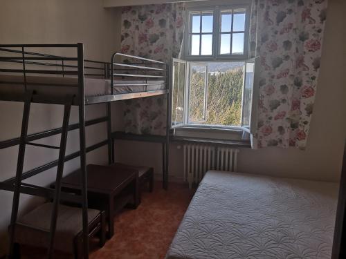 a bedroom with two bunk beds and a window at Hostel Pestalozza in Špindlerův Mlýn