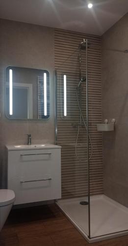 uma casa de banho com um chuveiro, um lavatório e um WC. em Apartament targowy em Poznań