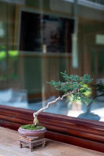 Galería fotográfica de Jun Bo Xuan Boutique Hotel en Lijiang