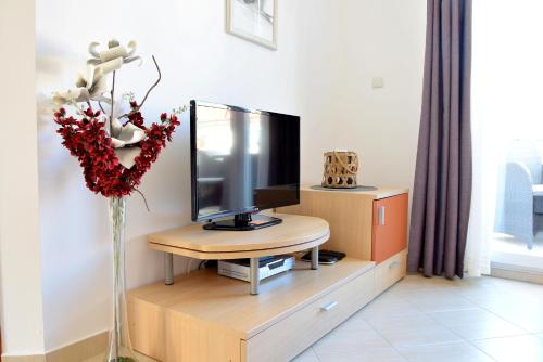 sala de estar con TV y jarrón con flores en Old Town Rab Pjaceta Accommodation, en Rab