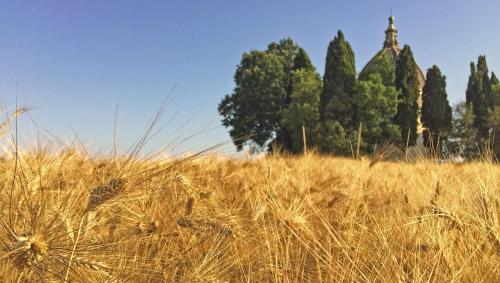 Φυσικό τοπίο κοντά σε αυτή η παραθεριστική κατοικία