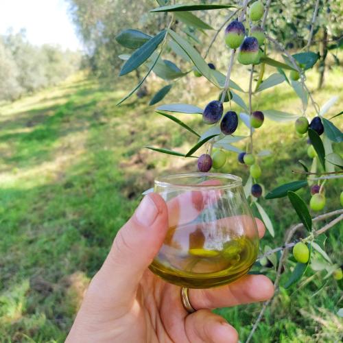 Ποτά στο Casa Pietraia