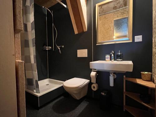 La salle de bains est pourvue d'un lavabo, de toilettes et d'une douche. dans l'établissement BÜR, à Büren an der Aare