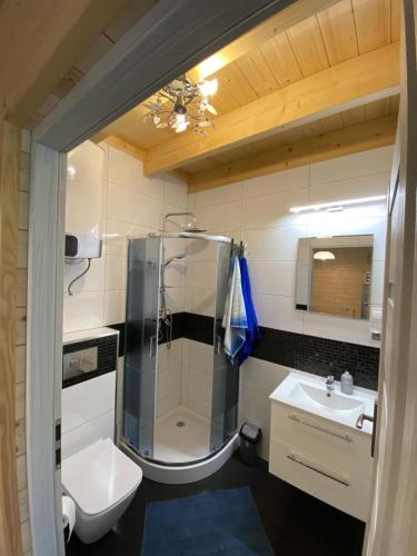 a bathroom with a shower and a toilet and a sink at Jarzębinowy Zakątek in Kopalino
