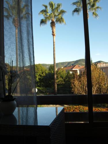 - une vue sur un palmier depuis la fenêtre dans l'établissement Appartement 3*** Eden Rock, à Sanary-sur-Mer