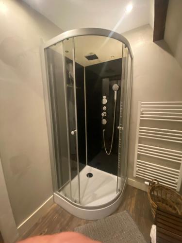 a shower with a glass door in a bathroom at Historical loft in Middelburg