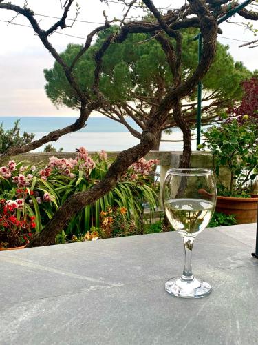 a glass of white wine sitting on a table at Casa Møjn in Lerici