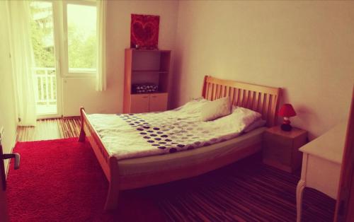 a bedroom with a bed and a red carpet at Sunnyhill in Sarajevo