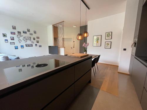 Apartment 1919
