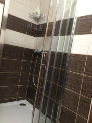 a bathroom with a shower with brown and white tiles at Hrusická restaurace a penzion in Hrusice