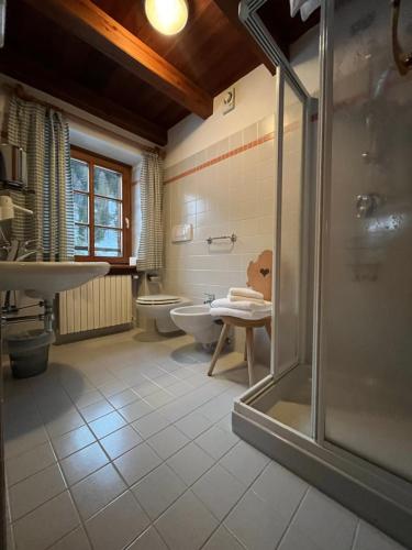 y baño con ducha, lavabo y aseo. en Rifugio Malga Ra Stua, en Cortina dʼAmpezzo